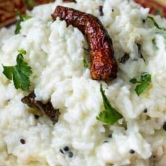 curd-rice